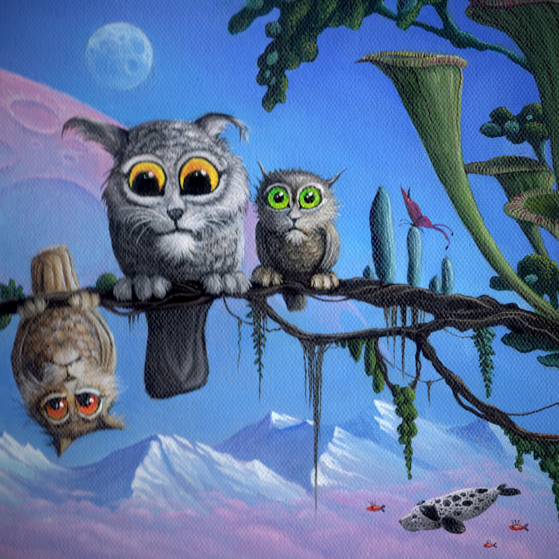 Silhouette of a hiker at sunset